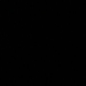 Meet your Posher, Sofia